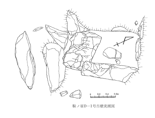 駄ヶ原古墳群 F 支群 1 号墳