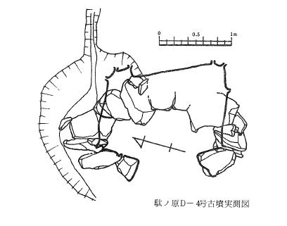 駄ヶ原古墳群 F 支群 4 号墳