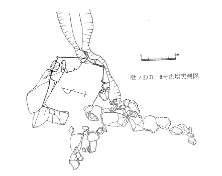 駄ヶ原古墳群 F 支群 6 号墳