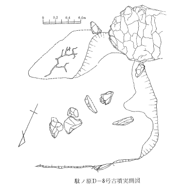 駄ヶ原古墳群 F 支群 8 号墳