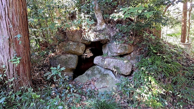 西油山古墳群 A 支群 2 号墳地形図
