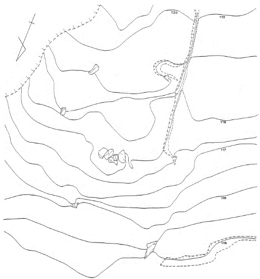 西油山古墳群 C 支群 2 号墳地形図