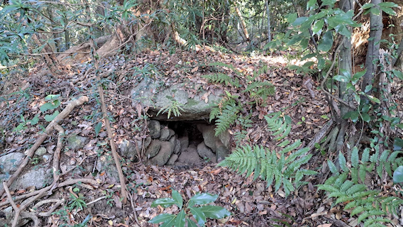 西油山古墳群 D 支群 1 号墳（2023 年 10 月撮影）①