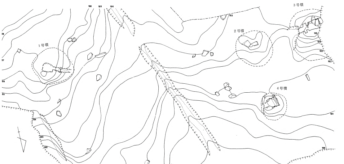 西油山古墳群 D 支群地形図