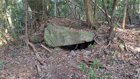 西油山古墳群 E 支群 4 号墳（2023 年 10 月撮影）①