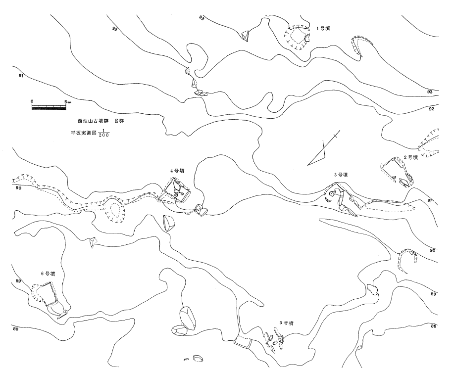 西油山古墳群 E 支群地形図