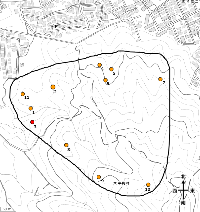大谷古墳群分布図