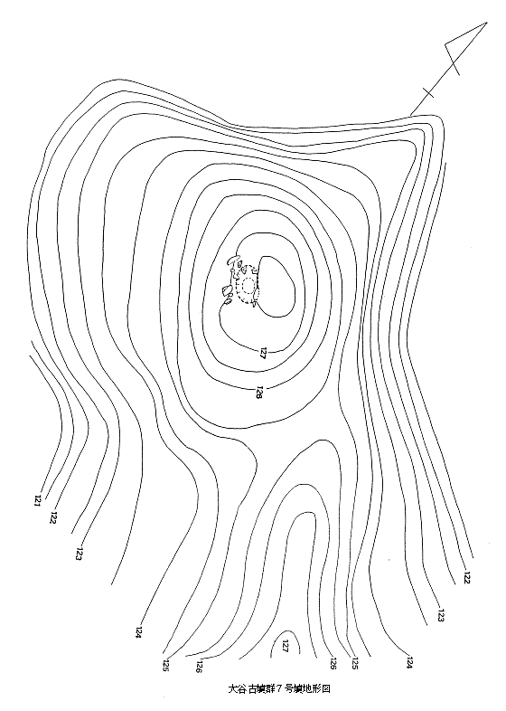 大谷古墳群 8 号墳地形図