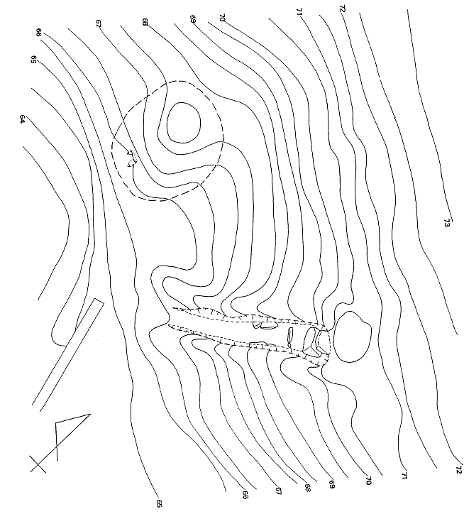 大谷古墳群 1 号墳・11 号墳地形図