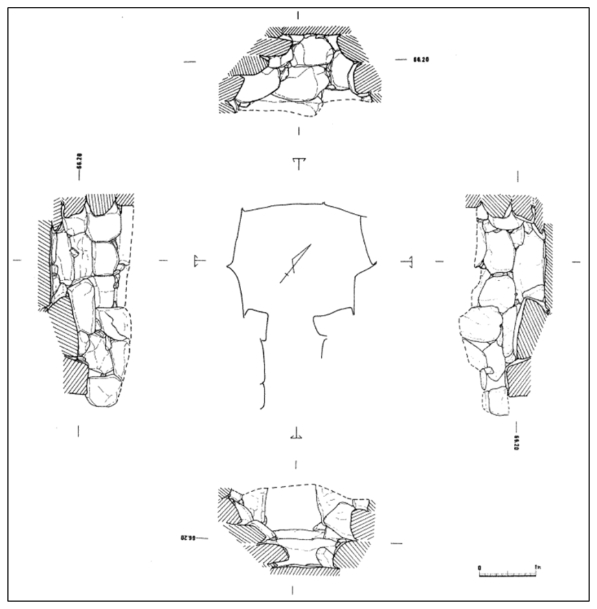 鳥越古墳群 C 支群 2 号墳石室実測図
