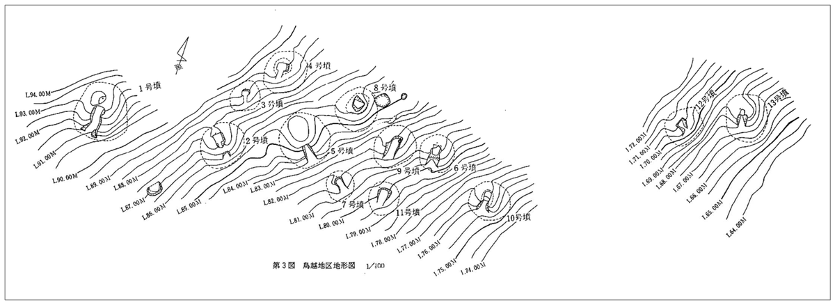 鳥越古墳群 D 支群地形図