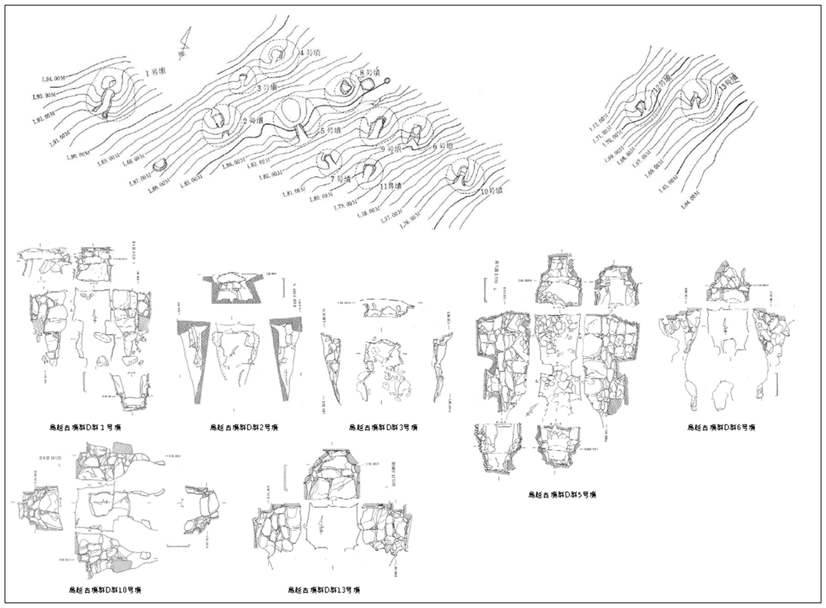 鳥越古墳群 D 支群 地形図と石室