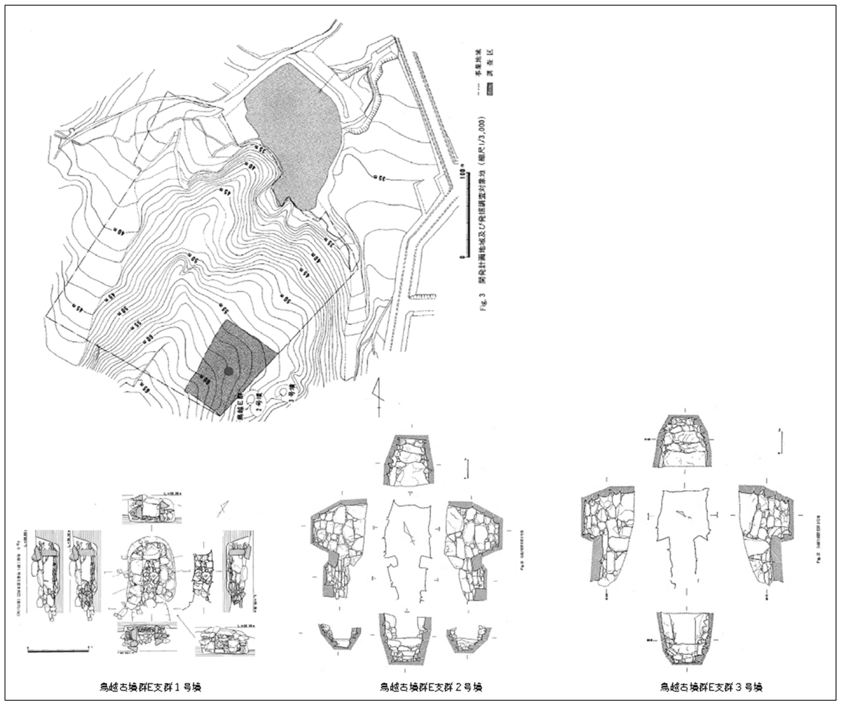 鳥越古墳群 E 支群 地形図と石室